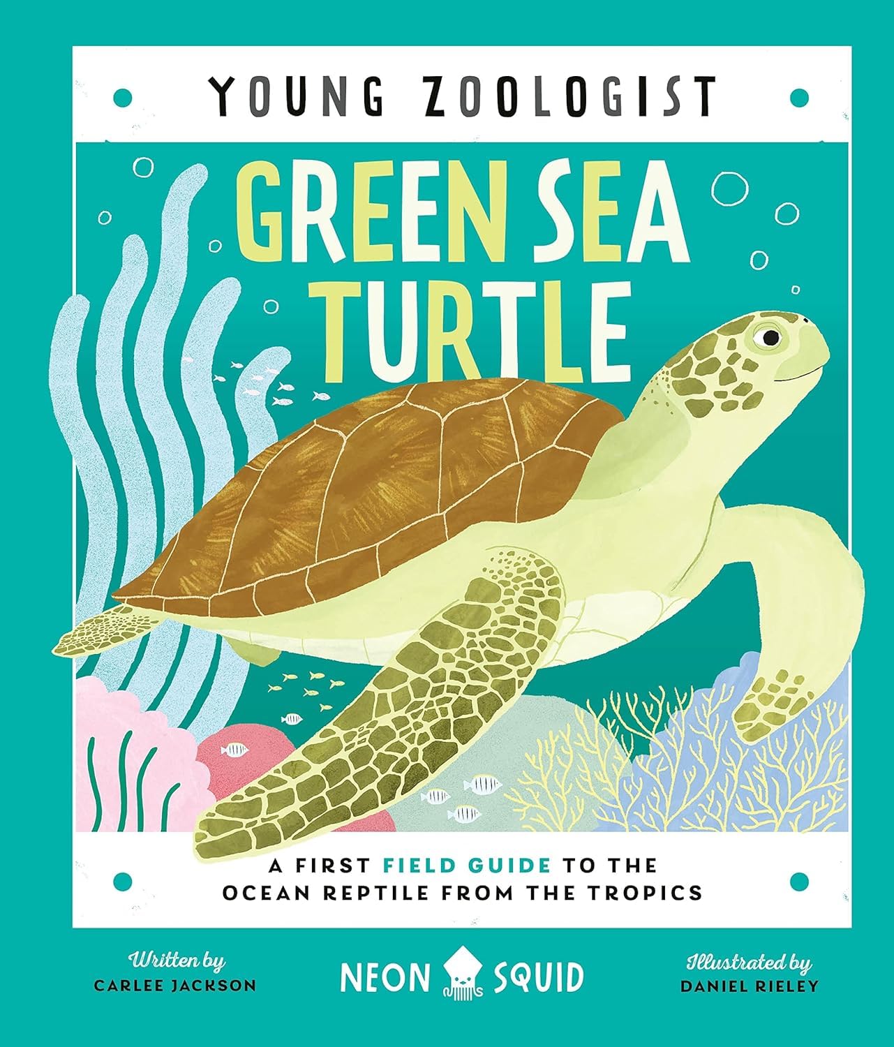 Close-up of a Young Zoologist hardback cover detail showing illustration style and title typography