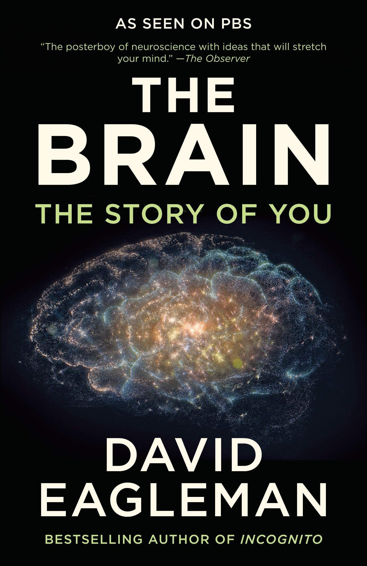 Your Brain on Art and The Brain: The Story of You 2-book set displayed together, hardcover and paperback